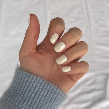oyster (extra-short)