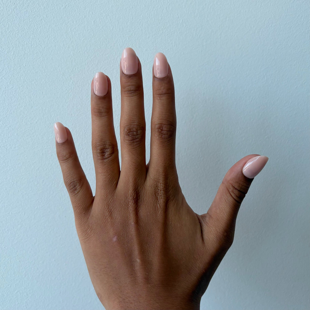 bare minimum (short oval)